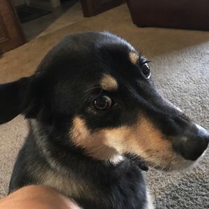 Meet your Posher, Luke