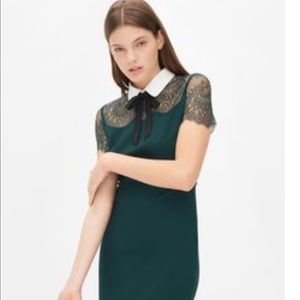 Women's Sandro Dress in Forest Green.