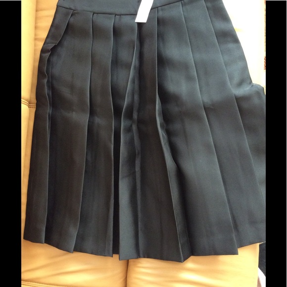 Ann Taylor pleated taffeta skirt - Picture 3 of 4