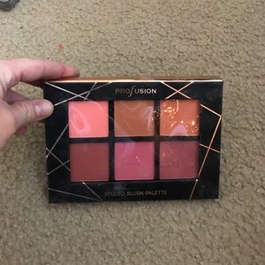 Profusion blush pallet barely used.