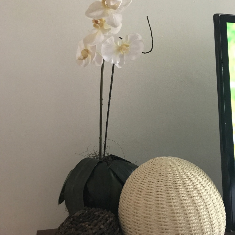 Meet your Posher, Michell