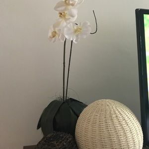 Meet your Posher, Michell