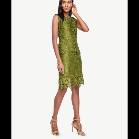 Ann Taylor botanical lace pencil skirt. - Picture 2 of 5