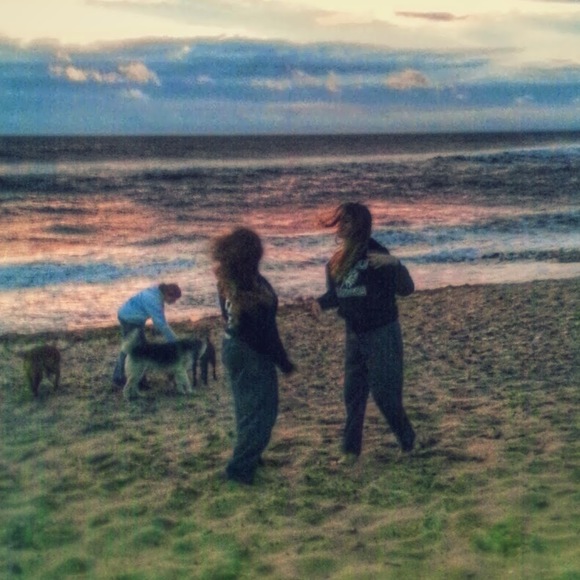 Meet your Posher, Cassidy - Picture 1 of 1