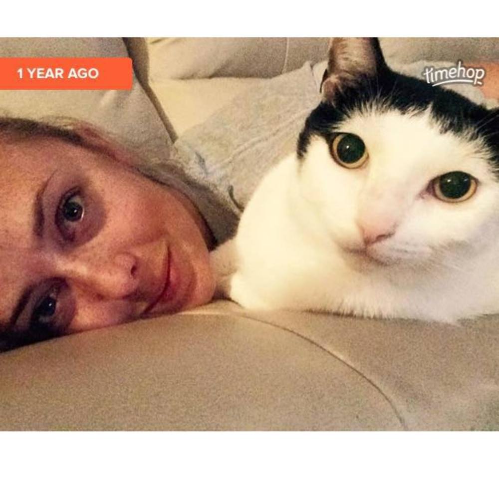 Meet your Posher, Ally