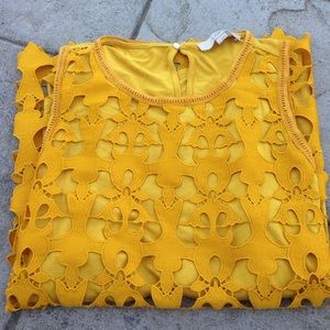 AnnTaylor Loft top size large