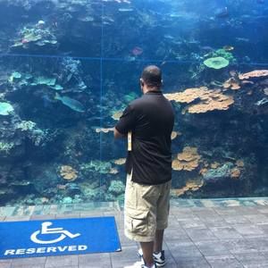 Meet your Posher, Ian