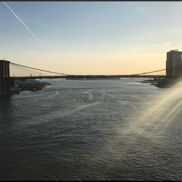 Meet your Posher, Winnie - Picture 1 of 1