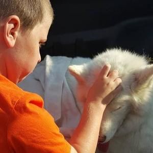 Meet your Posher, Nikki