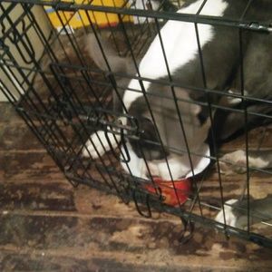 Meet your Posher, Charles