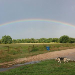 Meet your Posher, Jenny