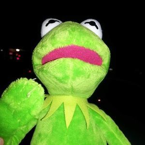 Meet your Posher, Purcell