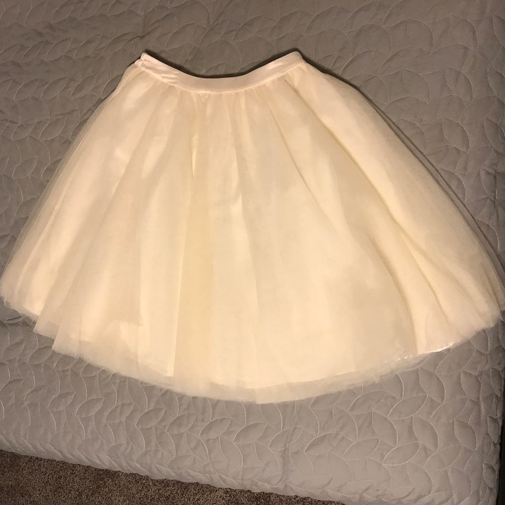 Tulle Skirt