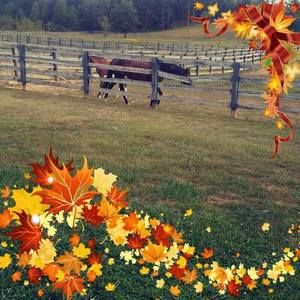 Meet your Posher, Audrey