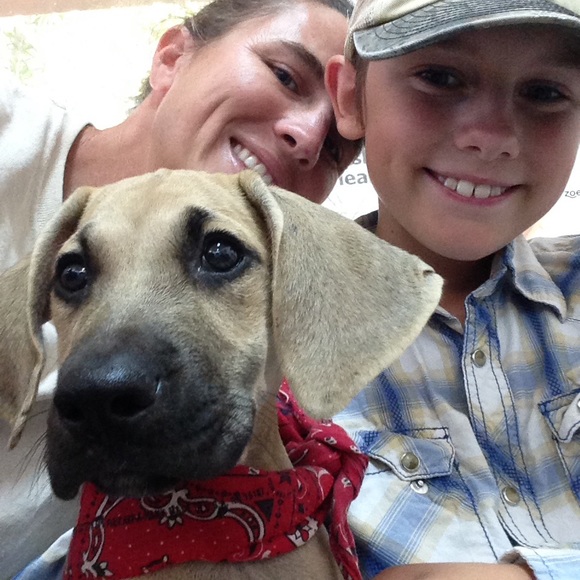 Meet your Posher, Samantha - Picture 3 of 4