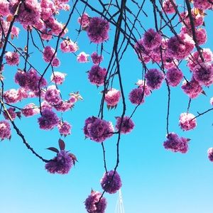 Meet your Posher, Tami