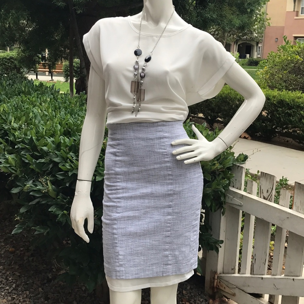 Banana Republic Pencil Skirt