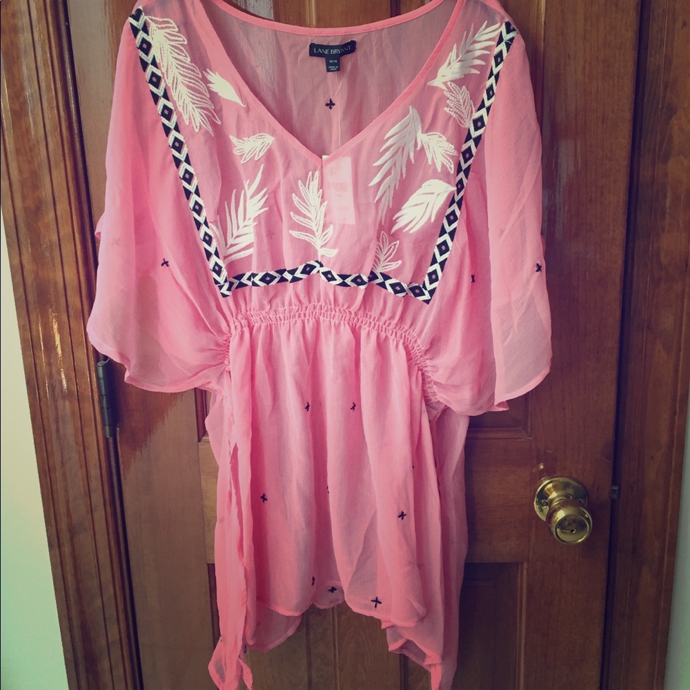 Sheer Pink Blouse Embroidered Detail (Lane Bryant)