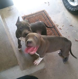 Meet your Posher, Aubrey