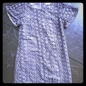 Zara lace dress