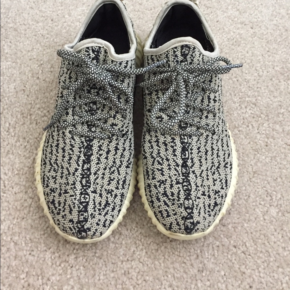 Yeezy Turtle dove color
