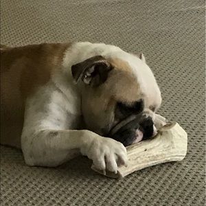 Meet your Posher, Chris