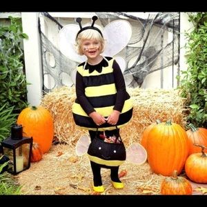Bee Costume from Potterybarn Kids