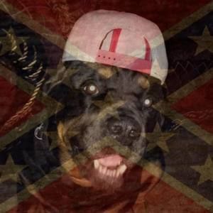 Meet your Posher, Travis