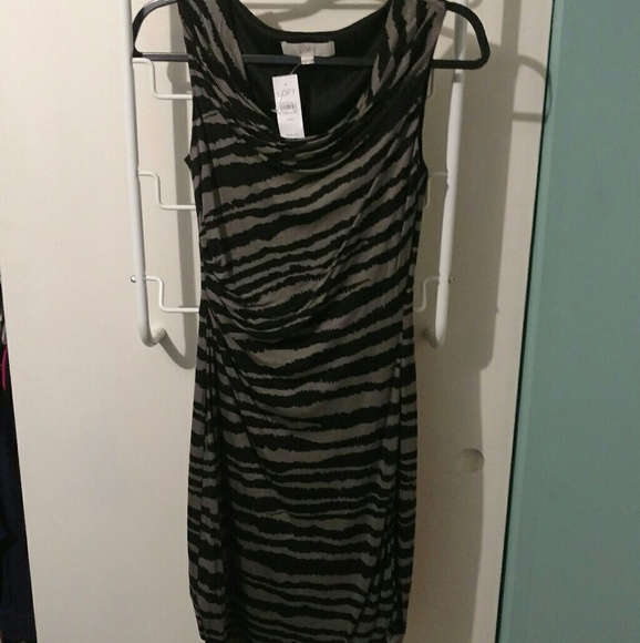 Loft sleeveless cowlneck dress grey zebra XXS BOGO - Picture 1 of 5