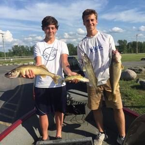 Meet your Posher, Alex