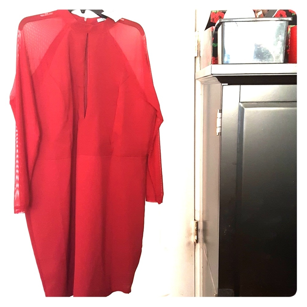 Brand New PLUS SIZE Bodycon Dress