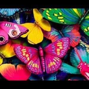 Meet your Posher, Melissa