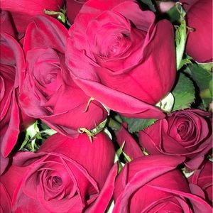 Meet your Posher, Sophia