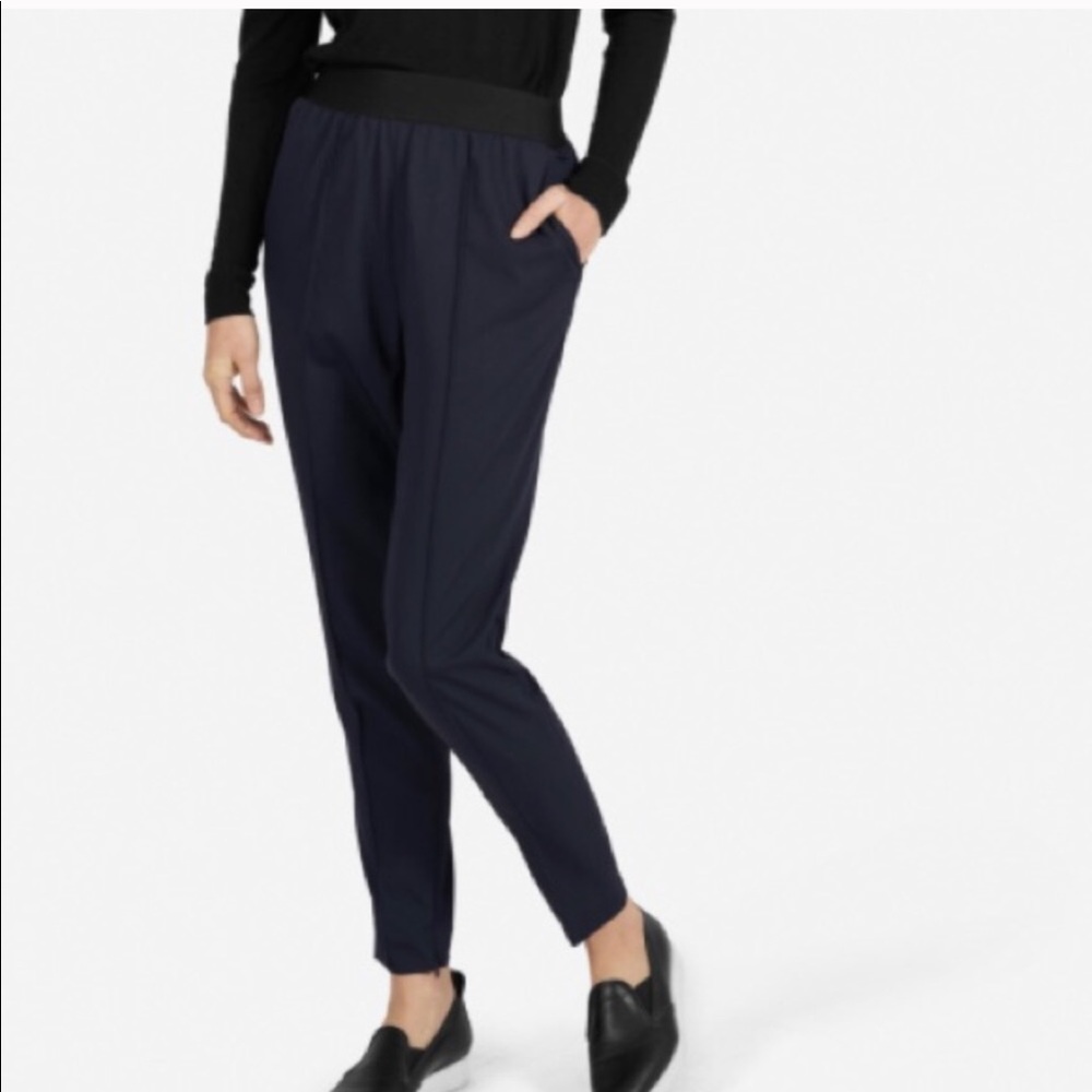 Everlane Go Weave Track Pant