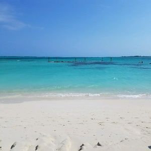 Meet your Posher, Stephen