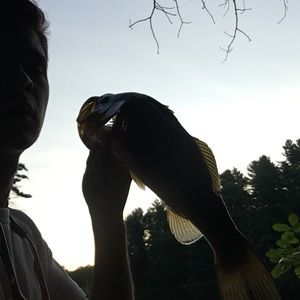 Meet your Posher, Ryan