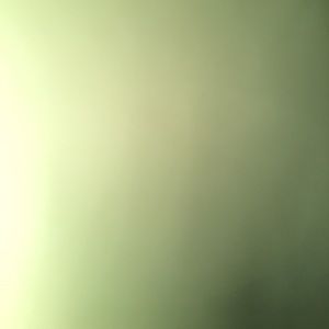 Meet your Posher, Lola