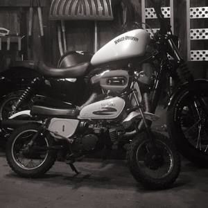 Meet your Posher, Dennis