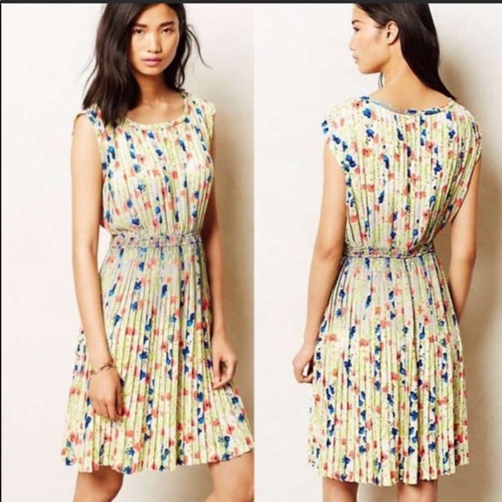 Meadowlight Floral Pleated Dress