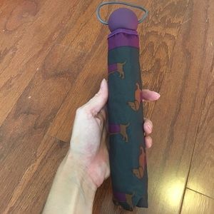 Never used dachshund umbrella
