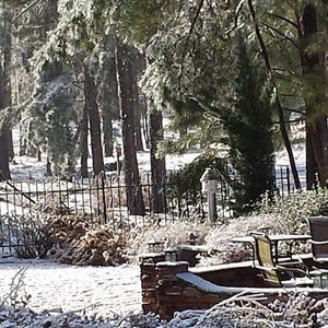 Meet your Posher, Yvonne