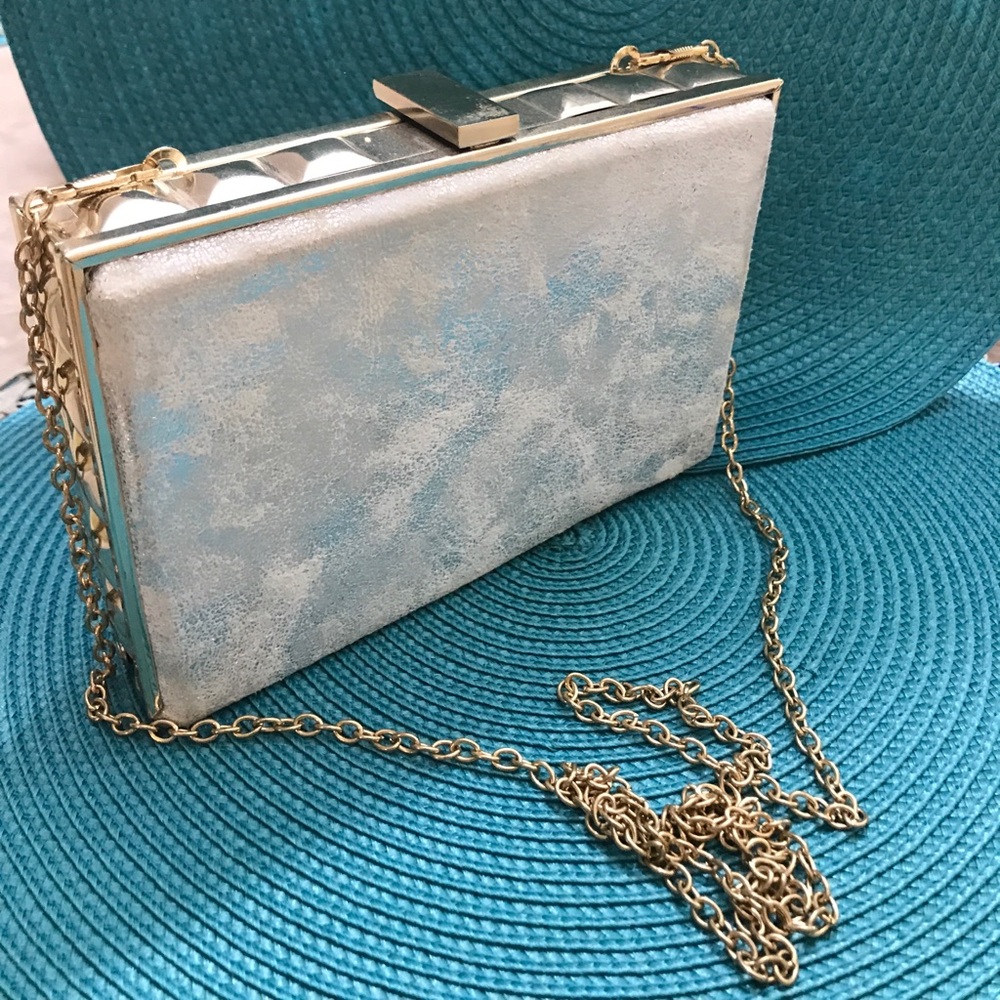 Purse/Clutch