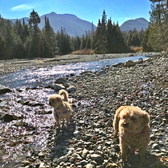 Meet your Posher, Emily - Picture 2 of 2