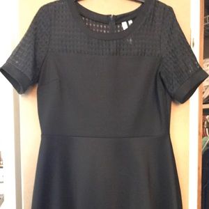 NY Collection fit and Flare dress!