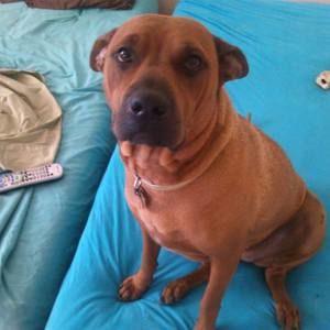 Meet your Posher, Mona