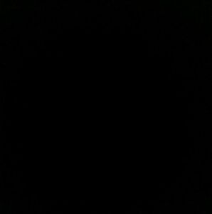 Meet your Posher, Brandonn