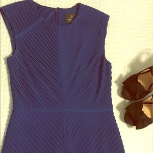 Blue Adrianna Papell Dress