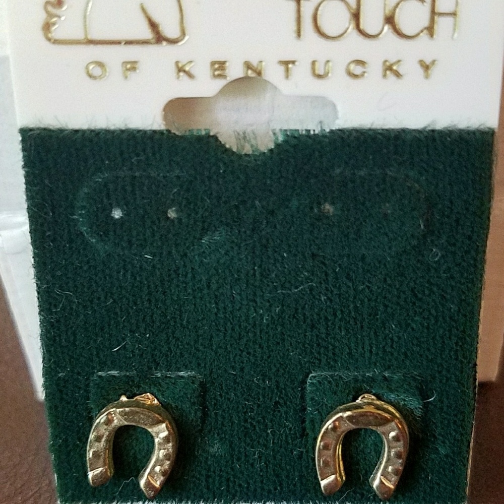 Horseshoe Earrings
