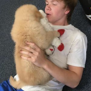 Meet your Posher, Angus