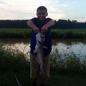 Meet your Posher, Zachary